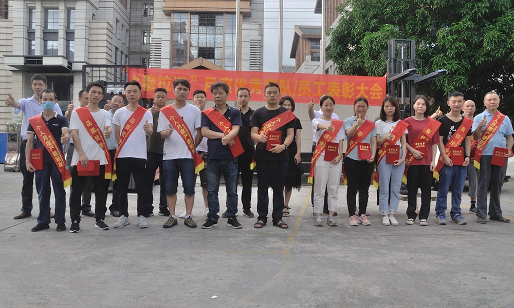 Professional design support